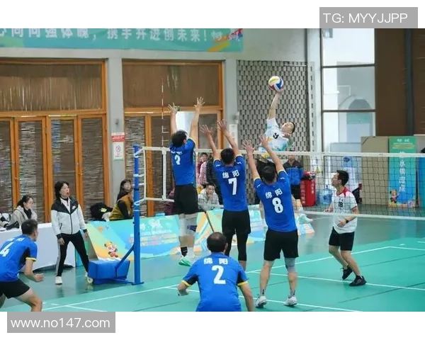 成都排球队勇夺洲际杯的拼搏历程与背后故事揭秘